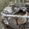 Автозапчасти NISSAN/INFINITI. Рамка радиатора SUBARU Forester SG5 EJ20 10 000 рублей